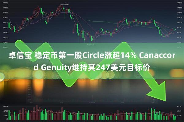 卓信宝 稳定币第一股Circle涨超14% Canaccord Genuity维持其247美元目标价