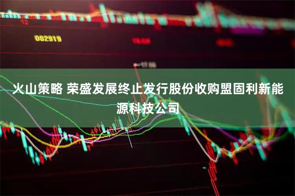 火山策略 荣盛发展终止发行股份收购盟固利新能源科技公司